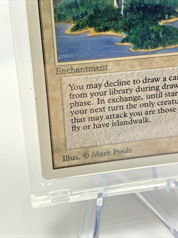 VINTAGE UNLIMITED – Island Sanctuary – MTG Magic the Gathering Card in Holder - Image 3