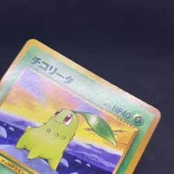LP Pokemon Card Totodile Chikorita Cyndaquil Champion Road Promo 2000 Japanese - Image 5