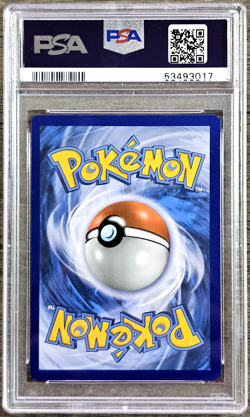 2016 Pokemon XY Evolutions #104/108 Pidgeot EX Full Art FA PSA 10 GEM MT - Image 2