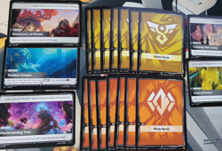 Fiora, Grand Duelist Tournament Ready Riftbound Deck Eng W/ Side and Extra Cards - Image 5
