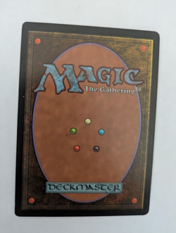 Mirri's Guile Tempest MTG NM Free shipping with tracking - Image 2