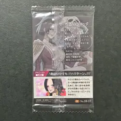 S6215 Boa Hancock No.10-17 R Japanese One Piece Wafer Card Sealed YA17 - Image 2
