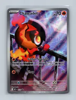 CHARCADET MEP022 MEGA EVOLUTIONS POKEMON (ILLUSTRATION RARE, NM) - Image 1