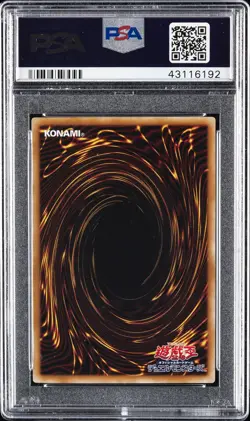 2014 YU-GI-OH! JAPANESE THE RARITY COLLECTION BLUE-EYES WHITE DRAGON PSA 10 - Image 2