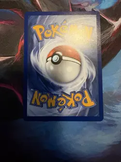 Pokemon Raticate 099/088 Illustration Rare Holo Card Perfect Order Mint - Image 5