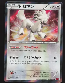 Furfrou 053/060 Japanese,1st Edition,Holo Pokemon Collection Y Near Mint - Image 1