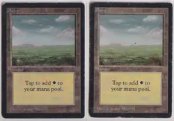 Magic: The Gathering Plains Limited Edition - Beta Edition x2 (HP) - Image 1