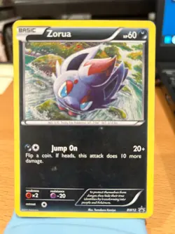 Pokemon TCG Zorua (BW12) MP - Holofoil - Black and White Promos - Image 1