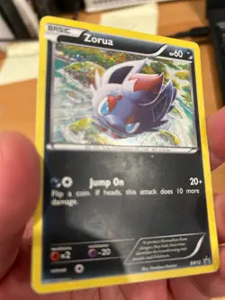 Pokemon TCG Zorua (BW12) MP - Holofoil - Black and White Promos - Image 3