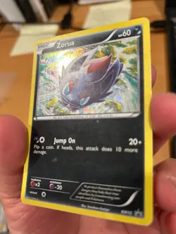 Pokemon TCG Zorua (BW12) MP - Holofoil - Black and White Promos - Image 4