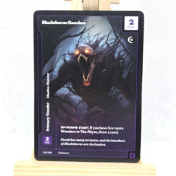 Wonders of the First: Existence Blackthorne Banshee Rare LP Light Play - Image 2