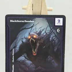 Wonders of the First: Existence Blackthorne Banshee Rare LP Light Play - Image 3