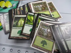Private Lot of Lands Cards For taylorwadud - Image 3