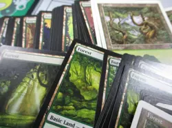 Private Lot of Lands Cards For taylorwadud - Image 4