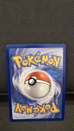 Mega Sharpedo ex 127/094 Special Illustration SIR Pokemon Phantasmal Flames NM - Image 2