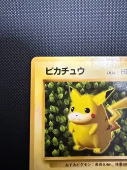 Pikachu No.025 Base Set Ken Sugimori Art Japanese 1996 Pokemon Old Back Rare - Image 5