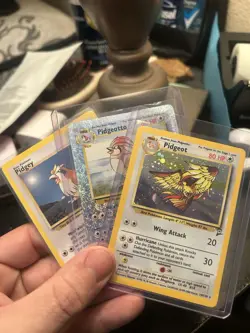 Pokemon TCG Base Set Pidgey, Pidgeotto, Pidgeot Cards 1999 Vintage Lot - Image 1