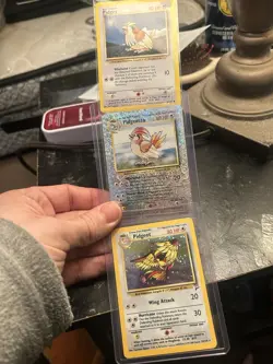 Pokemon TCG Base Set Pidgey, Pidgeotto, Pidgeot Cards 1999 Vintage Lot - Image 5