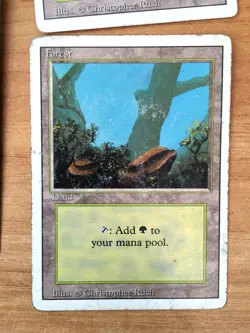 LOT DE 14 TERRAINS - FOREST - FORET - MAGIC THE GATHERING - MTG - REVISED PLAYED - Image 4