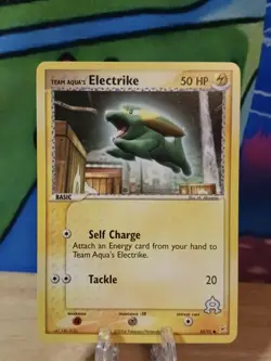 Team Aqua's Electrike 53/95 Team Aqua vs Magma Pokemon Card M/NM - Image 1