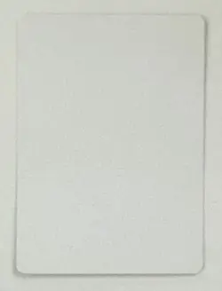 Misprint Alert: Off centered AP Magic MTG Italian Northern Paladin Artist Proof - Image 2