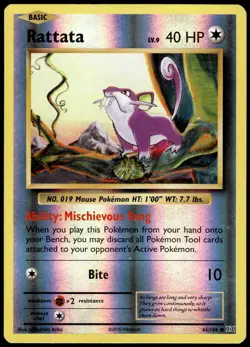 Rattata 66/108 Common Evolutions Pokemon Reverse Holo NM - Image 1