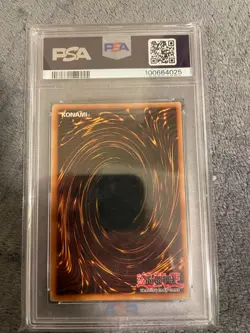 PSA8 - Dark Paladin - MFC-105 - Magician's Force - Unlimited - Ultra Rare - Image 2