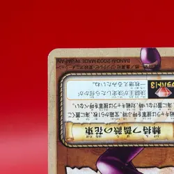 Nico Robin ONE PIECE Carddass Trading Card Game TCG Anime Bandai Japan #G3-C09 - Image 5