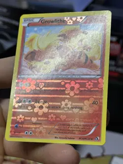 Growlithe RC4/RC25 Legendary Treasures 2013 Radiant Collection Pokemon Card TCG - Image 5