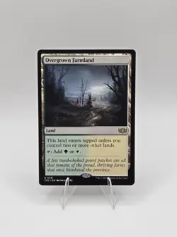 Overgrown Farmland Commander: Tarkir: Dragonstorm Regular Near Mint - Image 1