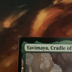 Yavimaya Cradle of Growth - MtG Modern Horizons 2 - R261 LP - Image 3