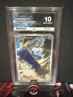 Pokemon TCG Oshawott Illustration Rare White Flare 105/086 Gem Mint Ace 10 - Image 1
