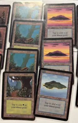 MTG- Alpha Land Set- Swamp,Island, Forest, Mountain, Plains. Set (24) Cards - Image 4