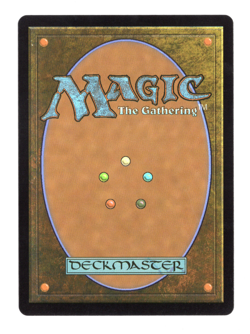 MTG-Meddling Youths-Murders at Karlov Manor-219-Near Mint-Foil - Image 2