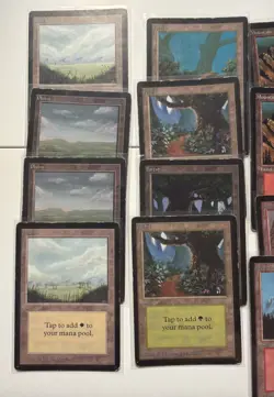 MTG-Beta Land Set-Plains, Forest, Mountain, Swamp, Island. (20) Beta Card Set - Image 3