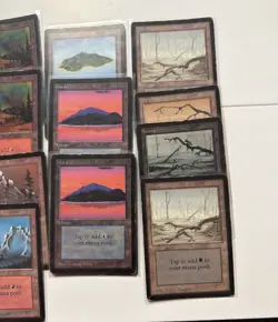 MTG-Beta Land Set-Plains, Forest, Mountain, Swamp, Island. (20) Beta Card Set - Image 5