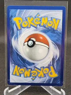 SHUCKLE 136/132 - Illustration Rare Holo - Pokemon Mega Evolution English - Image 2