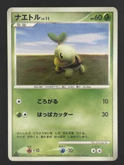 Turtwig - Entry Pack 2008 DP Pokemon Card - Image 1