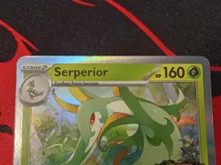 Serperior MEP 064 Pre Release Perfect Order - Pokemon TCG Black Star Promo - Image 3