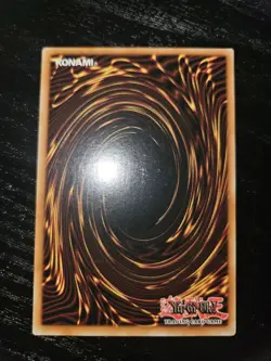 Yugioh Dark Paladin DMG-001 Limited Secret Rare - Image 3