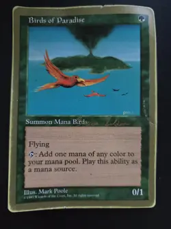 Birds of Paradise DAMAGED GOLD BORDERED World Championship Decks MTG FREE SHIP - Image 1