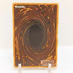 Yugioh Bramble Rose Dragon DOOD-EN039 NM Doom Of Dimensions 1st Edition - Image 2