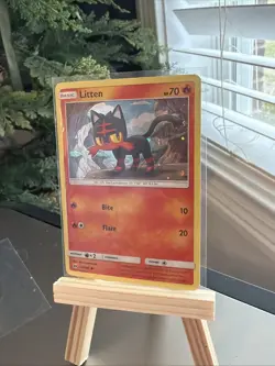 Litten - (Water Web Holo) 024/149 Miscellaneous Cards & Products Holo - Image 3