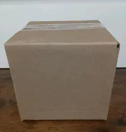 Pokemon TCG First Partner Illustration Collection - Sealed Case (#2) - Image 4