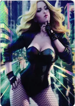 BLACK CANARY Cartoon Beauty HOLO Goddess Story Custom Art Collectible Card - Image 1