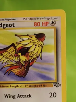 Pokemon TCG Pidgeot 24/64 Jungle 1st Edition Regular Non-Holo Rare LP-/MP+ - Image 5