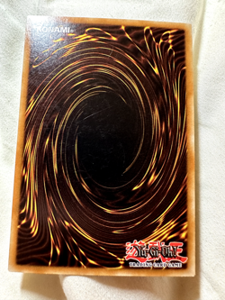 Prohibition SDMM-EN022 1st Edition Common LP + BONUS - Image 2