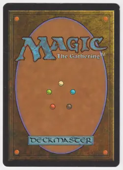 Silver Signed Gift of the Woods LP Alliances Artist Susan Van Camp MTG Magic! - Image 2