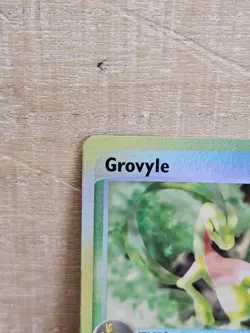 Grovyle 31/97 Ruby and Sapphire Reverse Holo Pokemon Card TCG - Image 3