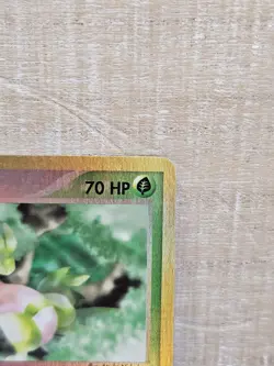 Grovyle 31/97 Ruby and Sapphire Reverse Holo Pokemon Card TCG - Image 4